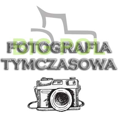 SEKCJA FILTRA POWIETRZA C-330 STARY TYP 4205308.jpg